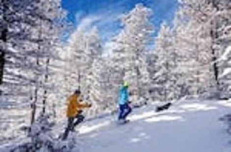 Thegarden Bed&bike *