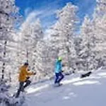 Thegarden Bed&bike *